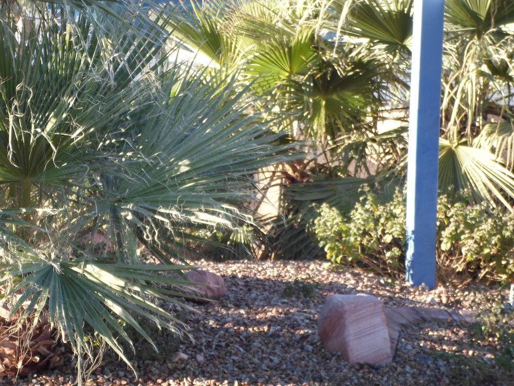 Howard Johnson By Wyndham Las Vegas Near The Strip Buitenkant foto